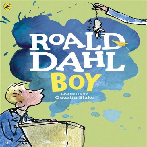 Boy - Book cover - Arabic children’s stories