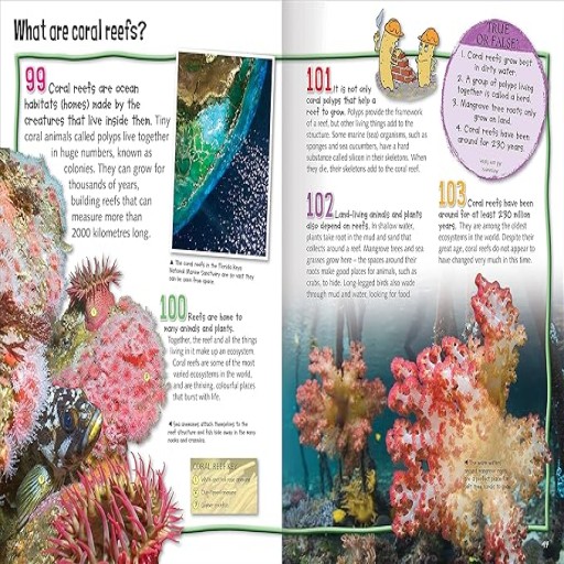 Wild About Oceans  - Inside spread - Arabic children’s stories