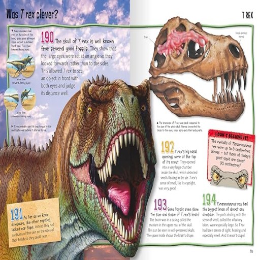 Wild About Dinosaurs - Inside spread - Arabic children’s stories