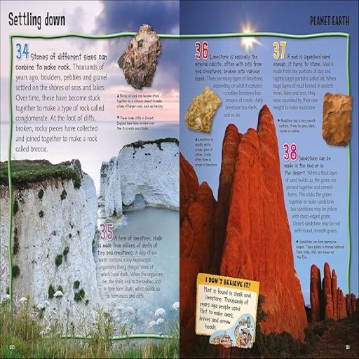 Wild about Planet Earth - Inside spread - Arabic children’s stories